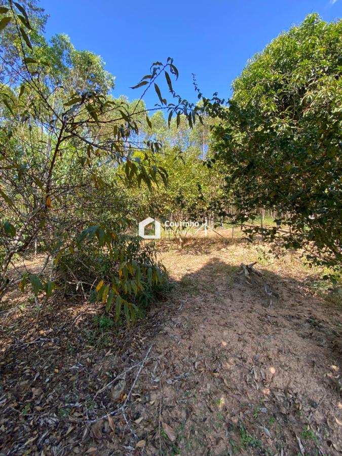 WhatsApp Image 2026-04-30 at 07.00.43.jpeg